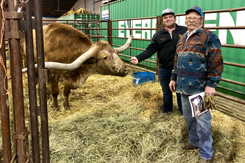 The ’10th biggest steer ever recorded’ beefs up Agribition | 980 CJME